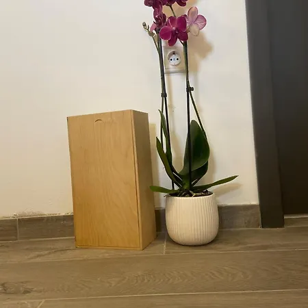 Lucia Apartman Split